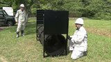 神戸市 クマ専用の捕獲わな設置 市内で初めてツキノワグマの出没が確認されたことを受け|TBS NEWS DIG