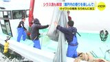 瀬戸内の香り楽しんで　シラス漁が解禁　鮮度重視の「ちりめん」に加工　広島･呉市沖　|　RCC NEWS | 広島ニュース | RCC中国放送