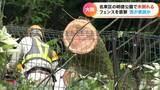 名古屋市内の公園で高さ10メートルの木が倒れる 隣のマンションのフェンスを直撃 けが人なし 雨で地盤が緩んだのが原因か 名古屋・名東区 | 名古屋・愛知・岐阜・三重のニュース【CBC news】 | CBC web