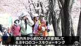 「岩木山と桜と桜吹雪と全部満喫したような感じ」岩木山さくらウォーク　参加者たちが心地よい汗流す　青森県弘前市|TBS NEWS DIG