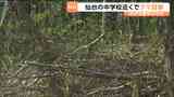 「市道を横断し山林へ」仙台市の中学校周辺で体長約1mのクマ目撃　青葉区　|　宮城のニュース│tbc NEWS│tbc東北放送