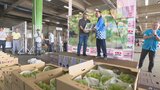 粒が大きく甘い!日田市産ブドウ旬入り・大分 | 大分のニュース|OBS NEWS|大分放送