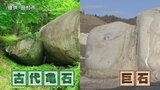 高さ17メートル、4階建てビルより高い「巨大岩」あちこちで見つかる『大きな岩』のナゾ　福島・田村市　|　福島のニュース│TUF
