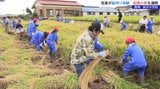 児童が鎌を使い、5月に自分たちで田植えをした水田で稲刈り 収穫したコメは学校で餅つきをして食べる予定 岩手・奥州市|TBS NEWS DIG