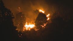 【速報】政府が情報連絡室を「官邸対策室」に改組　岡山市と愛媛県・今治市の山林火災| TBS CROSS DIG with Bloomberg