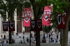 トランプ政権の圧力に屈するな、ハーバード卒業生らが大学に呼びかけ| TBS CROSS DIG with Bloomberg