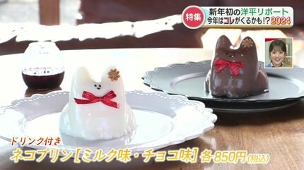 今年はコレがバズるかも？SNSで話題の「動く」スイーツに初心者必見の