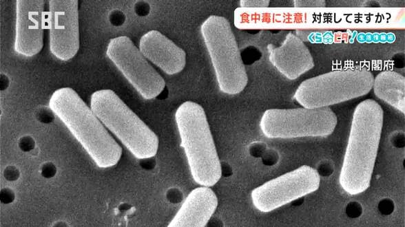真夏じゃないからまだ大丈夫…ではない「食中毒対策」【くらピタ！】あなたのお弁当や作り置き料理は大丈夫？「細菌性食中毒に注意」必要な対策とは？　|　SBC NEWS | 長野のニュース | SBC信越放送