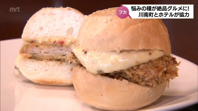 漁場を荒らすやっかいもの「サメ」がおいしい「フィッシュバーガー」に 川南町とホテルレストランが協力|TBS NEWS DIG