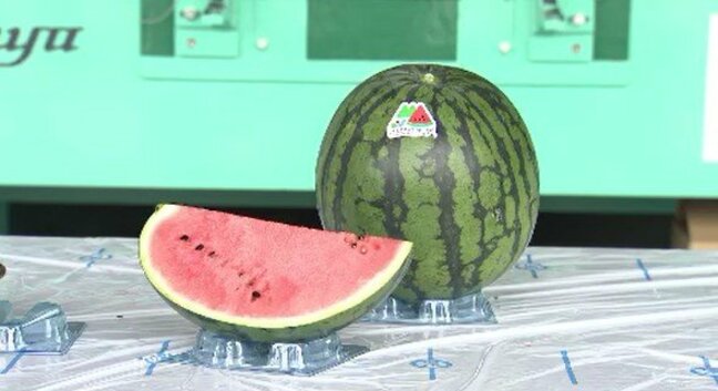 今年も糖度は十分！ハウススイカの出荷始まる「暑さ対策も兼ねてたくさん食べて」長野・松本市|TBS NEWS DIG