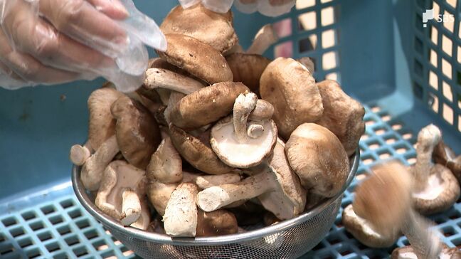 秋分の日は“秋の味覚”に行列！ おはぎ約1000個を用意の和菓子店 シイタケ盛り放題は「小さいのを詰める」のがコツ？=静岡|TBS NEWS DIG