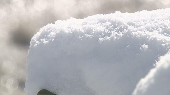 東京では10センチ、山形では30センチで発表の大雪警報 場所で基準が違うその理由は?|TBS NEWS DIG