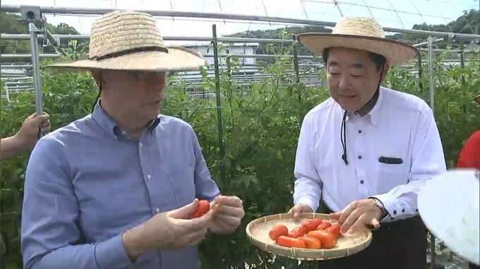 「コラボレーションをたくさんやりたい」駐日イタリア大使が矢掛町を訪問 野菜を通じた交流を【岡山】|TBS NEWS DIG