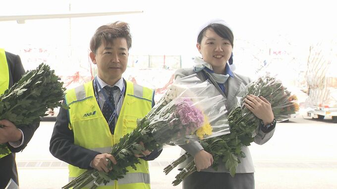 全国シェア9割以上沖縄産の小菊出荷　今年は５センチ短く　|　沖縄のニュース｜RBC 琉球放送