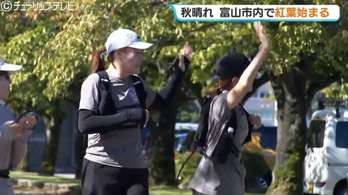 秋晴れの富山県内 五福公園のイチョウは色づき始め　|　富山のニュース｜天気・防災｜チューリップテレビ