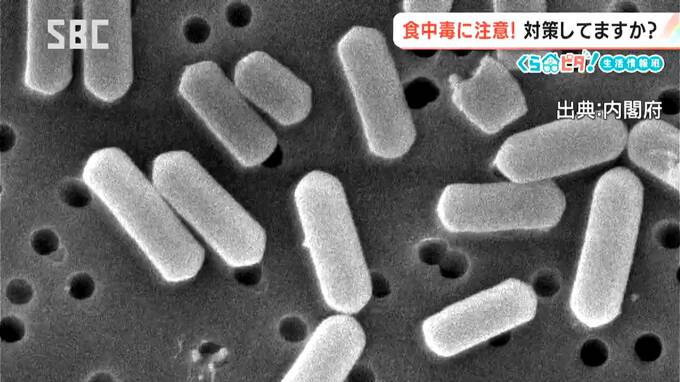 真夏じゃないからまだ大丈夫…ではない「食中毒対策」【くらピタ！】あなたのお弁当や作り置き料理は大丈夫？「細菌性食中毒に注意」必要な対策とは？　|　SBC NEWS | 長野のニュース | SBC信越放送