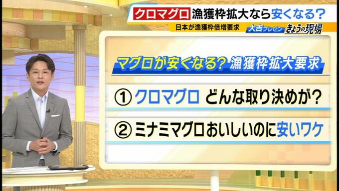 『クロマグロ』が安く買える日が来るかも！？近年は資源量が増加傾向　一方で専門家の“推し”は「知名度は低い」がお手ごろな『ミナミマグロ』|TBS NEWS DIG