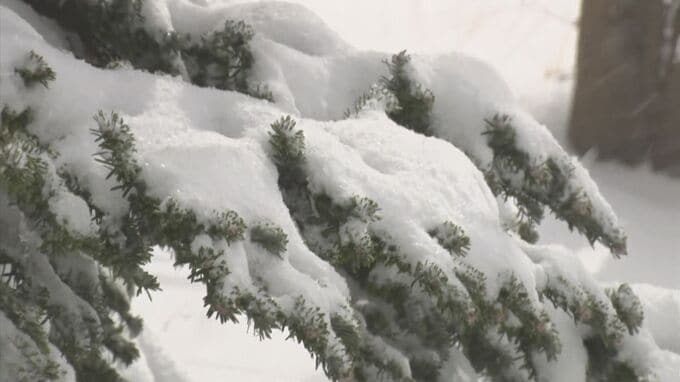 JR西日本　大雪で23日順次運転取りやめ発生　山陰エリア中心に24日は始発から運転見合わせ　普通列車・やくも・スーパーはくとなど　|　BSSニュース | BSS山陰放送