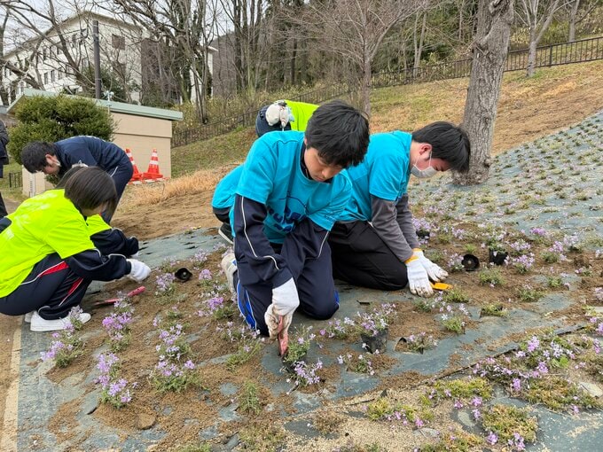 福島市のシンボル・信夫山を「桃色の名所」へ…福島JCと高校生が芝桜を植樹|TBS NEWS DIG