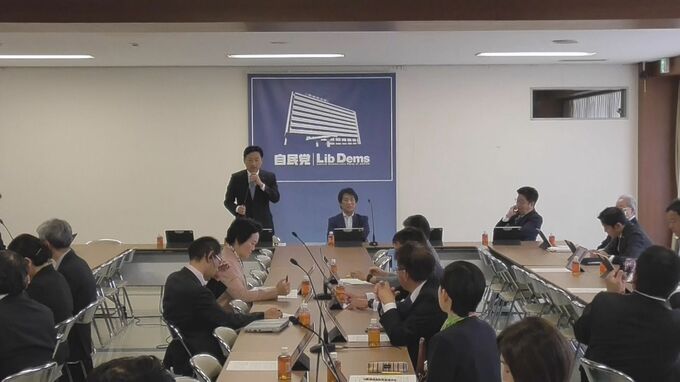 自民・厚労部会 「医療用大麻」使用可能とする法案を部会で了承|TBS NEWS DIG