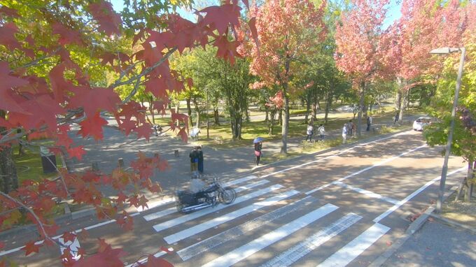10月からの3か月予報 気温高く 冬は雪少なめ　|　石川県のニュース｜MRO北陸放送
