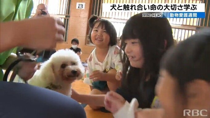 児童が犬と触れ合い命の大切さを学ぶ　動物愛護週間で交流会　|　沖縄のニュース｜RBC 琉球放送