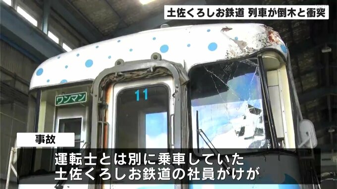 土佐くろしお鉄中村線で列車が倒木に衝突 運転士などけが（高知）|TBS NEWS DIG