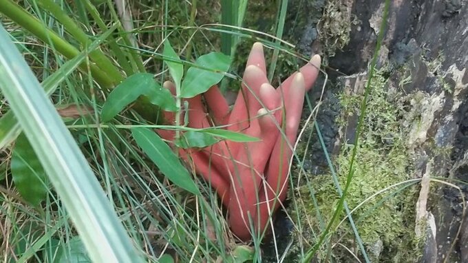 触れるだけで皮膚炎を起こし、食べた場合死に至るケースも　猛毒キノコ「カエンタケ」都留市で初確認　|　山梨のニュース | ＵＴＹテレビ山梨