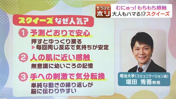 スクイーズの人気理由を分析する明治大学の堀田秀吾教授