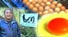 「高級卵を絶対に復活させる！」経営破綻乗り越え再チャレンジする男性の思い　|　高知のニュース・天気｜KUTV NEWS | KUTVテレビ高知