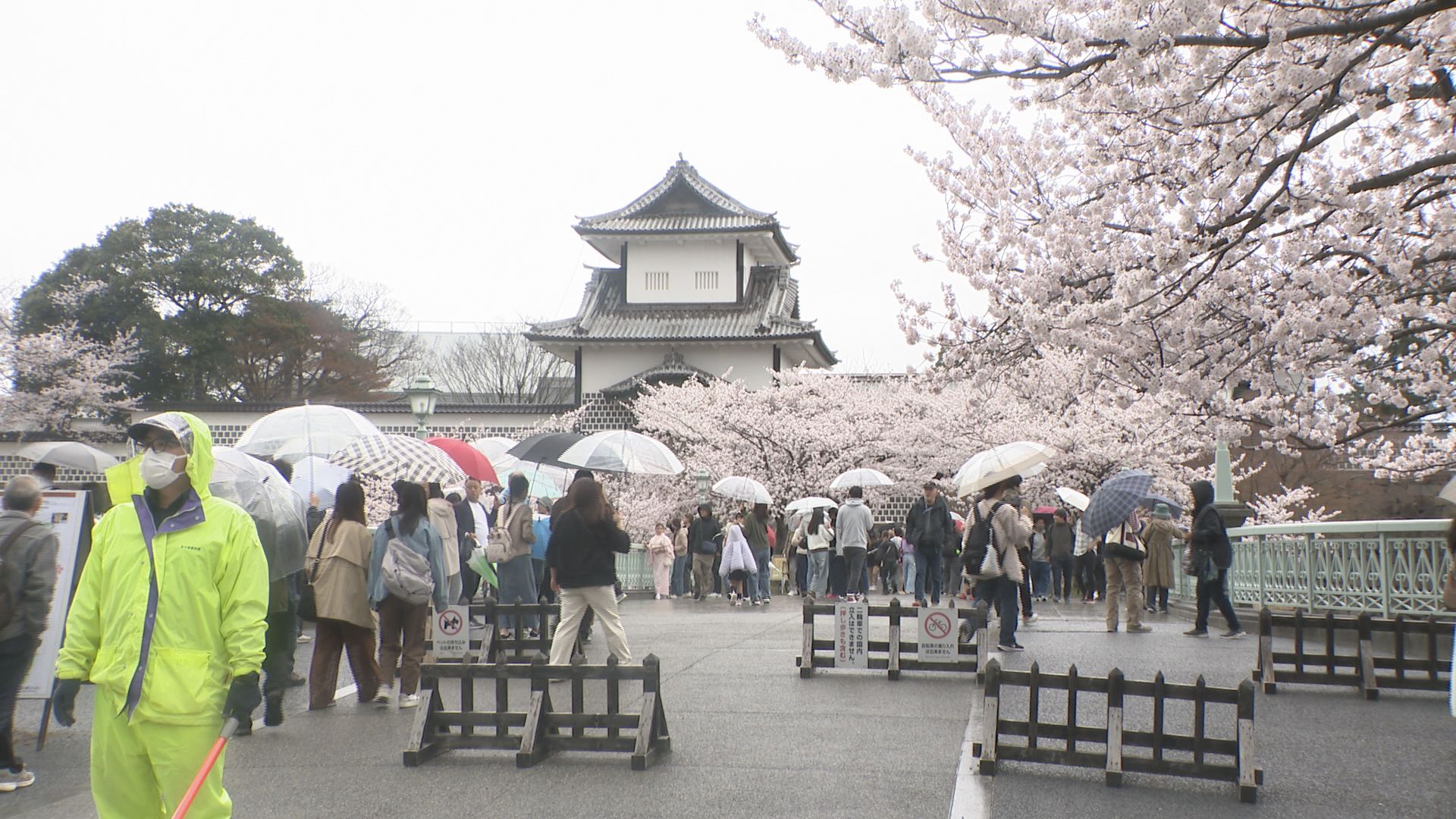 金沢・兼六園観桜期の無料開放 大勢の人たちがまちなか繰り出し、花見 金沢・兼六園観桜期の無料開放 大勢の人たちがまちなか繰り出し、花見