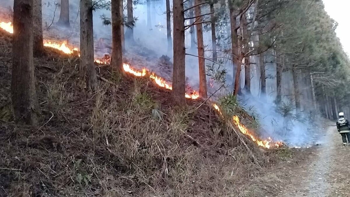 「山火事は消えない」火を甘く見てはだめ! 岡山県でも発生した火災、岩手県大船渡市では未だに鎮火せず…なぜ山では火が消えないのか | TBS ...