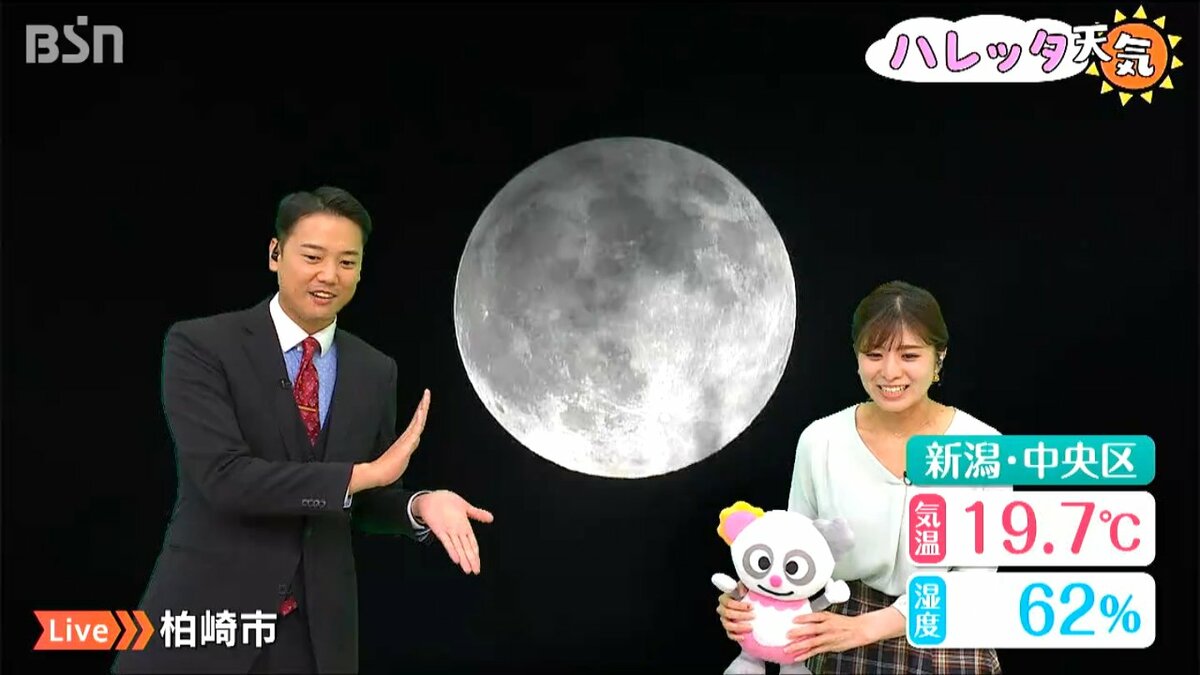 img_638eacfeb5e221eac34471655f