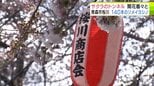 【詳報】青森市でソメイヨシノが開花　平年より9日早く過去2番目の早咲きに　満開の目安は開花から4日後　「地域としてはナンバーワン！」約140本のソメイヨシノが作り出す“サクラのトンネル”が名物の桜川でも開花着々と　|　青森のニュース│ATV NEWS│青森テレビ