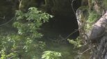 【映像】鱒沢川の新緑と渓流釣り 福島・南会津町【四季カメラ】 | 福島のニュース│TUF