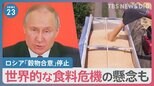 “小麦”など穀物価格高騰の可能性　ロシアの輸出合意“停止”で食料危機の懸念も【news23】|TBS NEWS DIG