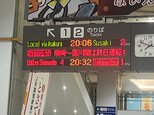 【大雨の影響】JR土讃線・予土線　高知県内一部区間で26日は終日運転見合わせに　|TBS NEWS DIG