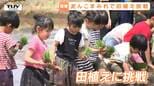 園児が田植えに挑戦！　食育だけど…まずは元気に泥遊び！？　田んぼに触れて成長をみせてくれた園児も（山形・山辺町）|TBS NEWS DIG