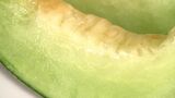 ジューシーな黄色い果肉が食欲をそそるタカミメロン「さぬき七夕メロン」という名で29日に販売会【香川】 | 岡山・香川のニュース | 天気 | RSK山陽放送