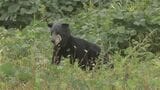 環境省が緊急猟銃の訓練開催 福島県内のクマ目撃件数は過去最多|TBS NEWS DIG