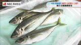 「水産物の新たな販路開拓に取り組む」中国の輸入禁止による影響は年12億円に【長崎市議会】 | 長崎のニュース | 天気 | NBC長崎放送