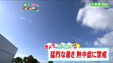 「きょうも強い日差しで南部を中心に猛烈な暑さ」宮城の30秒天気 tbc気象台 25日|TBS NEWS DIG
