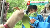 『3匹の“子ヤギ”の入学式』 小中一貫校で学ぶ「命の大切さ」や「責任感」 新潟県十日町市|TBS NEWS DIG
