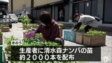 江戸時代から受け継がれてきたトウガラシ「清水森ナンバ」 生産者たちに苗配られる 青森県弘前市 | 青森のニュース│ATV NEWS│青森テレビ