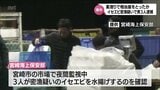 イセエビを密漁の疑いで男3人を逮捕　海上保安部が市場で夜間監視中に水揚げ|TBS NEWS DIG