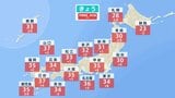 記録的な大雨のあとは猛暑復活 からっとした暑さのち蒸し暑く 東京もあす35℃予想|TBS NEWS DIG