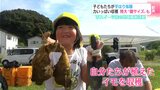 「重いよ 、でかいよ、大物がとれました!」“芋ほり体験” 顔サイズのサツマイモも 保育園の園児によるサツマイモの収穫体験 | 高知のニュース・天気|KUTV NEWS | KUTVテレビ高知
