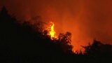タバコの不始末が原因か 山火事で男性が顔にやけど 鎮火までに1週間 | 愛媛のニュース - Nスタえひめ|あいテレビは6チャンネル
