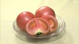 夏野菜の代表「トマト」おいしさの目印『スターマーク』って!?【市場で旬みっけ!】 | 福島のニュース│TUF