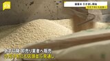 政府の備蓄米、集荷業者に引き渡し　今月下旬にも店頭へ|TBS NEWS DIG